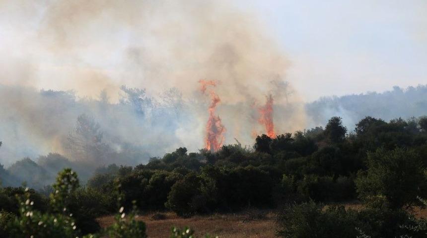 &Ccedil;anakkale&rsquo;de Orman Yangını Devam Ediyor