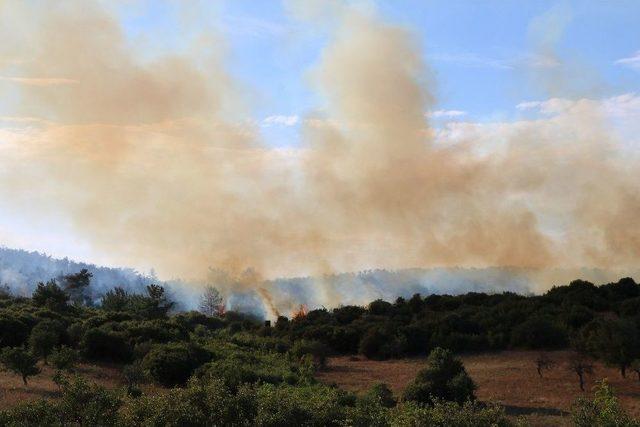 Çanakkale’de Orman Yangını Devam Ediyor