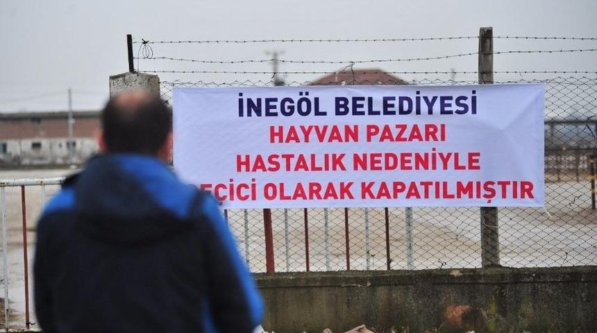 İneg&ouml;l Hayvan Pazarı Şap Nedeniyle Kapatıldı