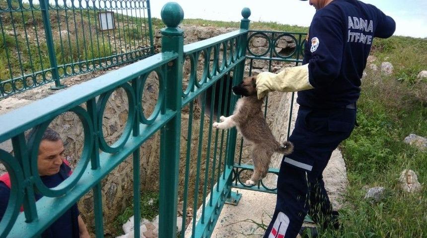 Dereye D&uuml;şen Yavru K&ouml;pek Kurtarıldı