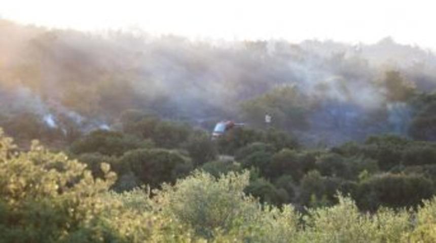 &Ccedil;anakkale&rsquo;de Orman Yangınında 50 Hektar Zarar G&ouml;rd&uuml;