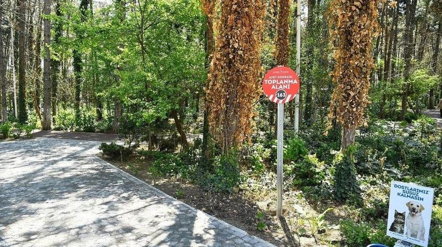 Beylikd&uuml;z&uuml;&rsquo;nde Afet Toplanma Alanlarının Tabela Montajları S&uuml;r&uuml;yor