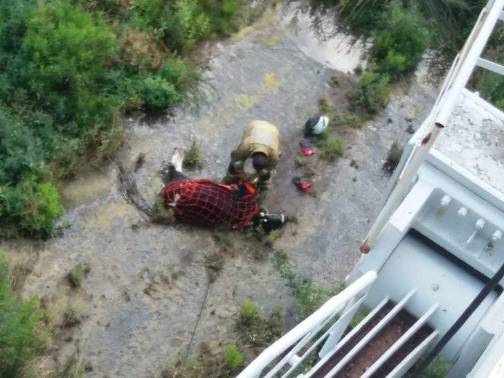 İzmir’de Baraja Düşen Dana Kurtarıldı G1