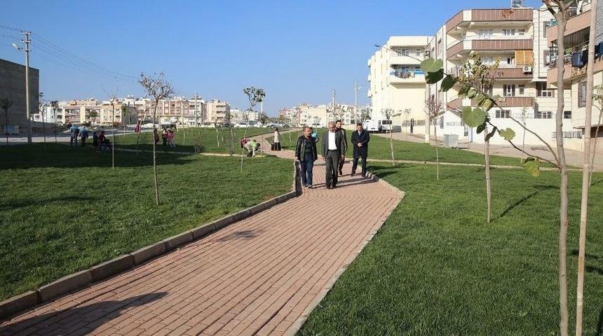 Devteşti Mahallesinde Park Ve Yol &Ccedil;alışmalarını İncelendi