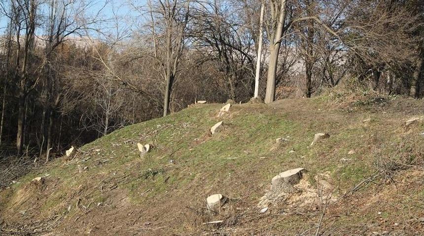 Silvan&rsquo;da Kimliği Belirsiz Kişiler Ağa&ccedil;ları Kesti