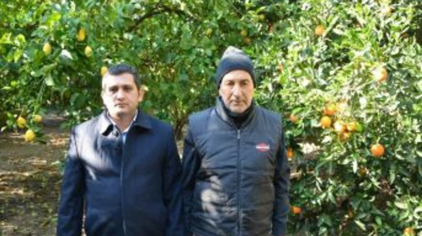 Dalaman Ziraat Odası Başkanı Tuncay; &ldquo;&uuml;retimin Maliyeti Y&uuml;ksek&rdquo;