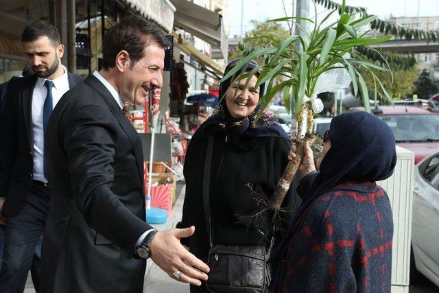 Başkan Tok’un Ağabali Caddesi Gezisi