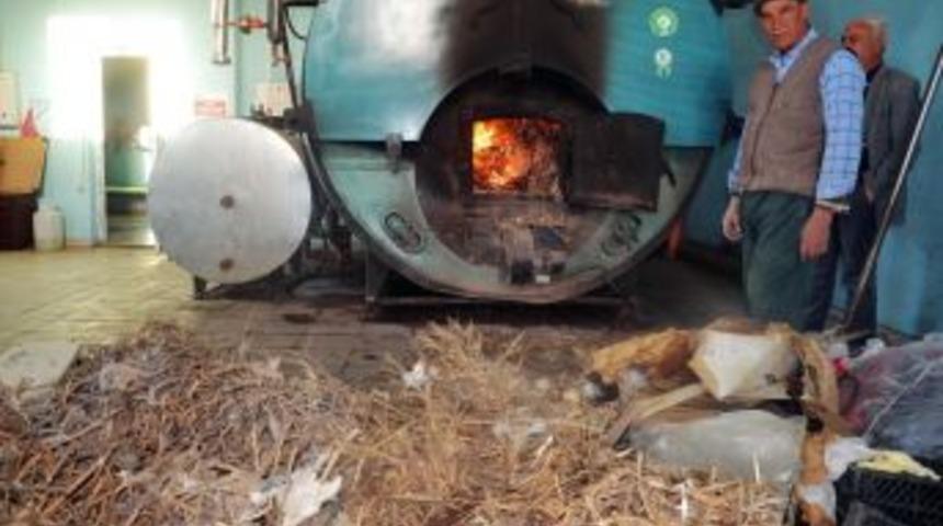 (d&uuml;zeltme) 2 Milyon Tl&rsquo;lik Tesisi Kargalar İstila Etti