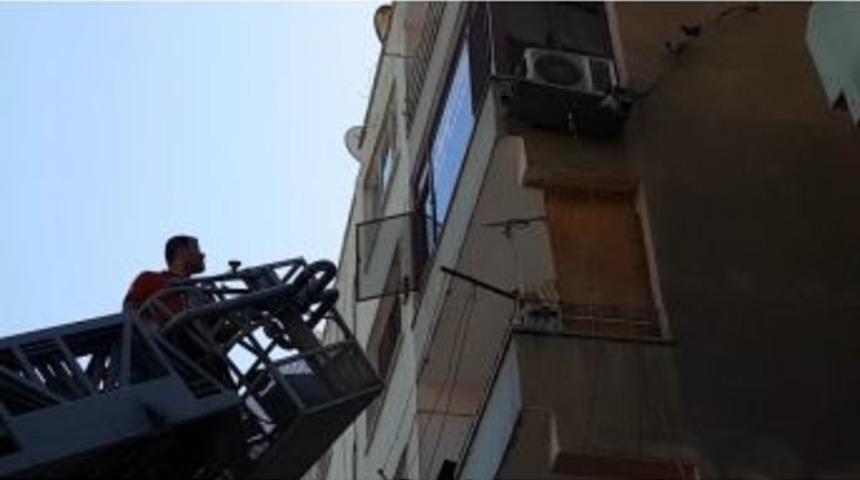 Mahsur Kalan G&uuml;vercini Kurtarma &Ccedil;alışmalarında Diğer G&uuml;vercinler Yalnız Bırakmadı