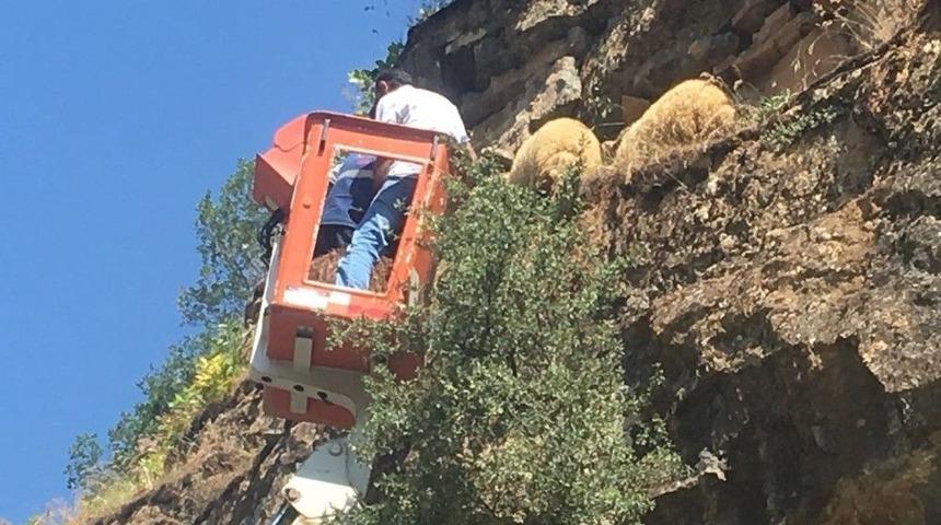 Beyt&uuml;şşebap&rsquo;ta Koyun Kurtarma Operasyonu