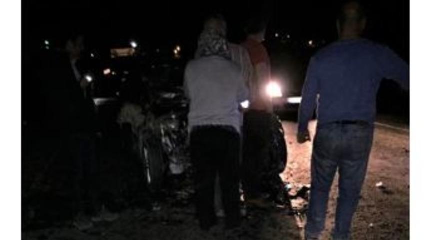 Otomobilin &Ccedil;arptığı 8 Hayvan Telef Oldu