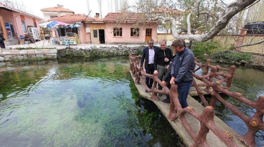 K&uuml;tahyalı Ressamlar, Domani&ccedil;&rsquo;in Tarihi, Turistik Ve Doğal Alanları Resmederek Tanıtacak