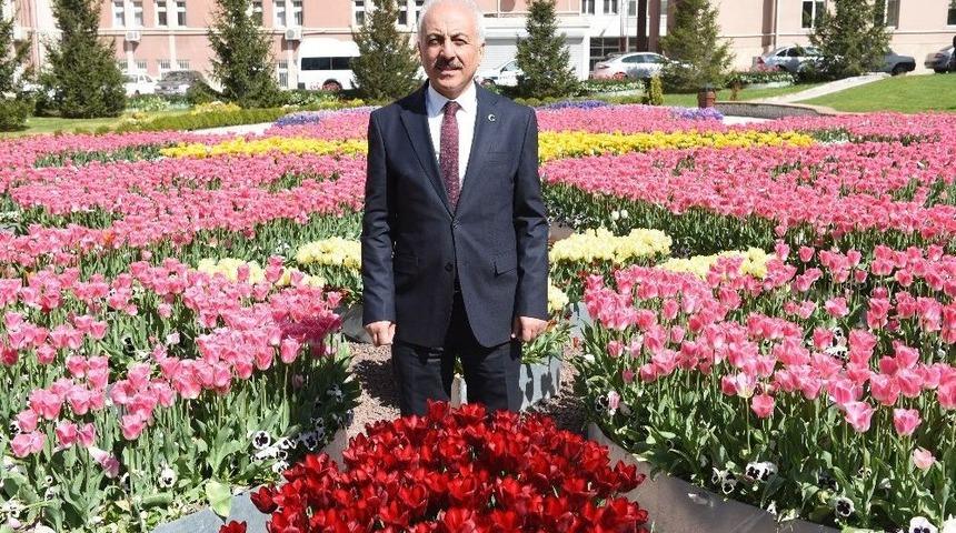 &Ccedil;orum Rengarenk &Ccedil;iceklerle Bezendi