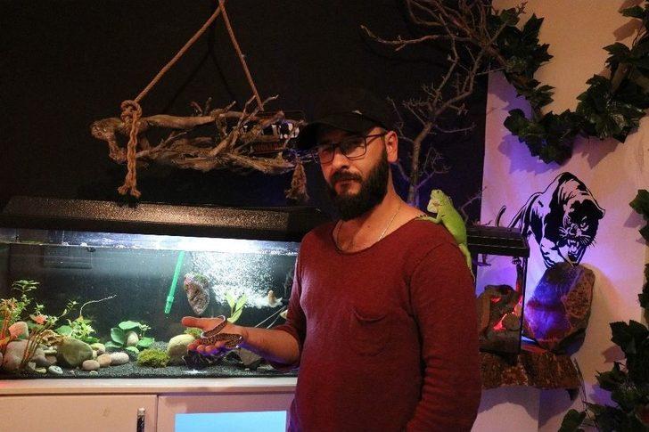 Kimsenin Yanına Yaklaşamadığı Vahşi Hayvanları Ofisinde Besliyor G3