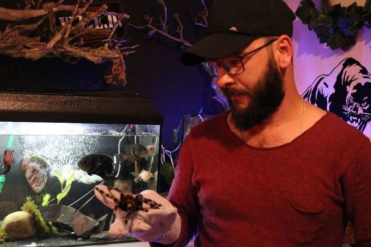 Kimsenin Yanına Yaklaşamadığı Vahşi Hayvanları Ofisinde Besliyor G5