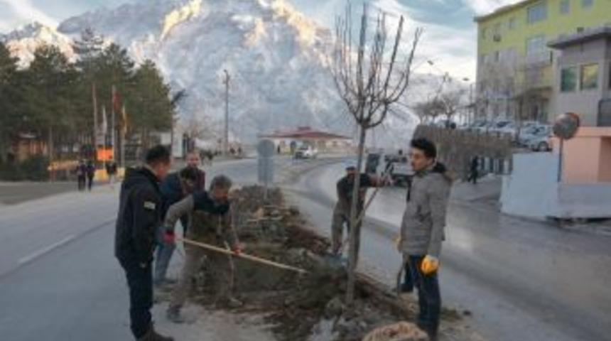 Hakkari Belediyesinden Hummalı Çalışma