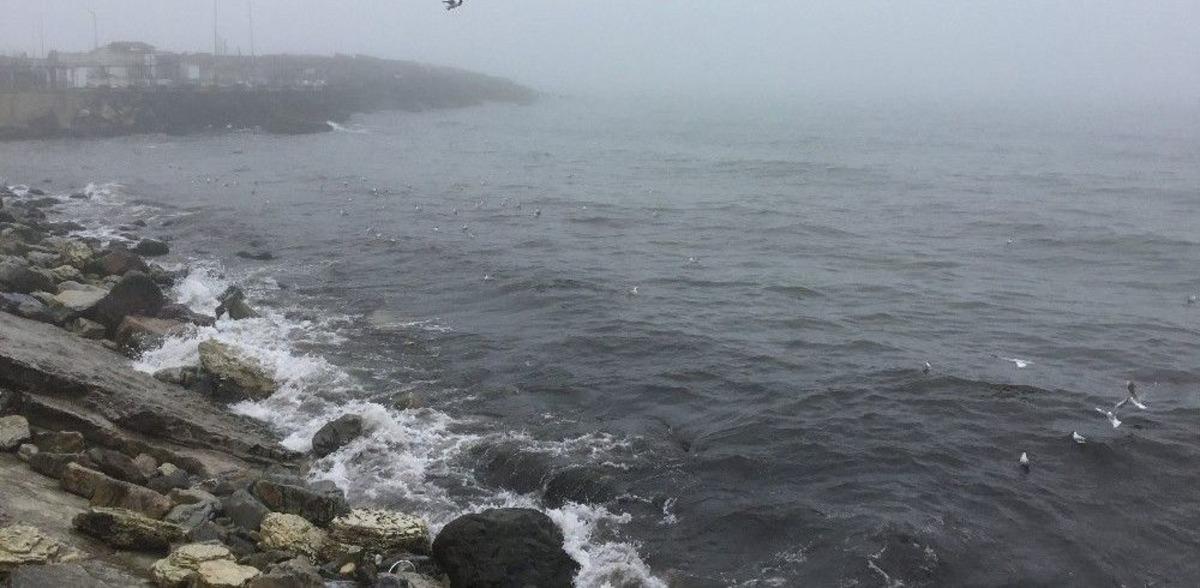 Batı Karadeniz&rsquo;de Yoğun Sis