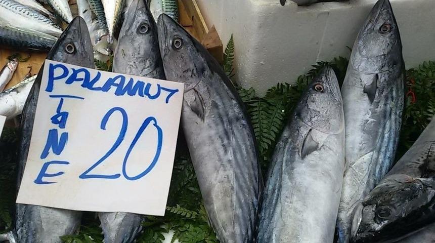 Palamudun Fiyatı Cep Yakıyor