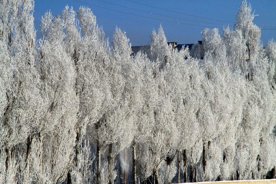 &Ccedil;aldıran Dondu