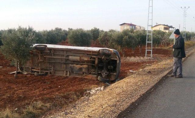 Suriyeli Zeytin İşçilerini Taşıyan Minibüs Takla Attı: 15 Yaralı