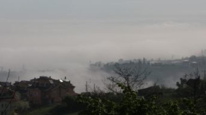 Ziraat M&uuml;hendisleri Odası Trabzon Şube Başkanı Pehlevan: "aşırı Sis Fındıkta Verim Kaybına Neden Oluyor"