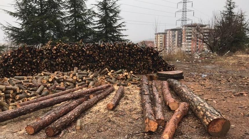 Jandarmadan Kaçak Odun Operasyonu