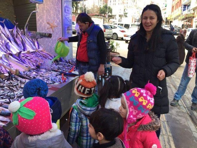 Minik Öğrenciler Hangi Mevsimde Hangi Balığın Yenileceği Öğrendi