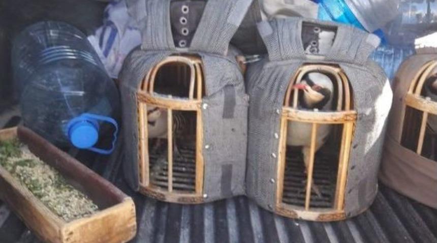 Van&rsquo;da Keklik Avcılarına Ceza