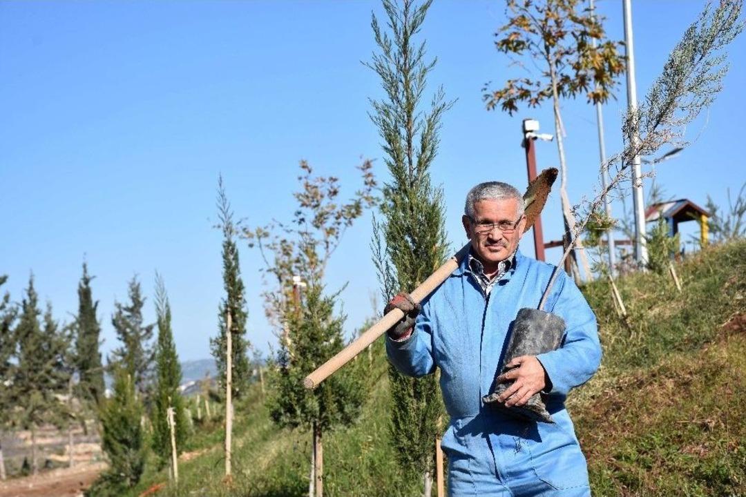 "orman Dede" 100 Bin Fidanı Toprakla Buluşturdu