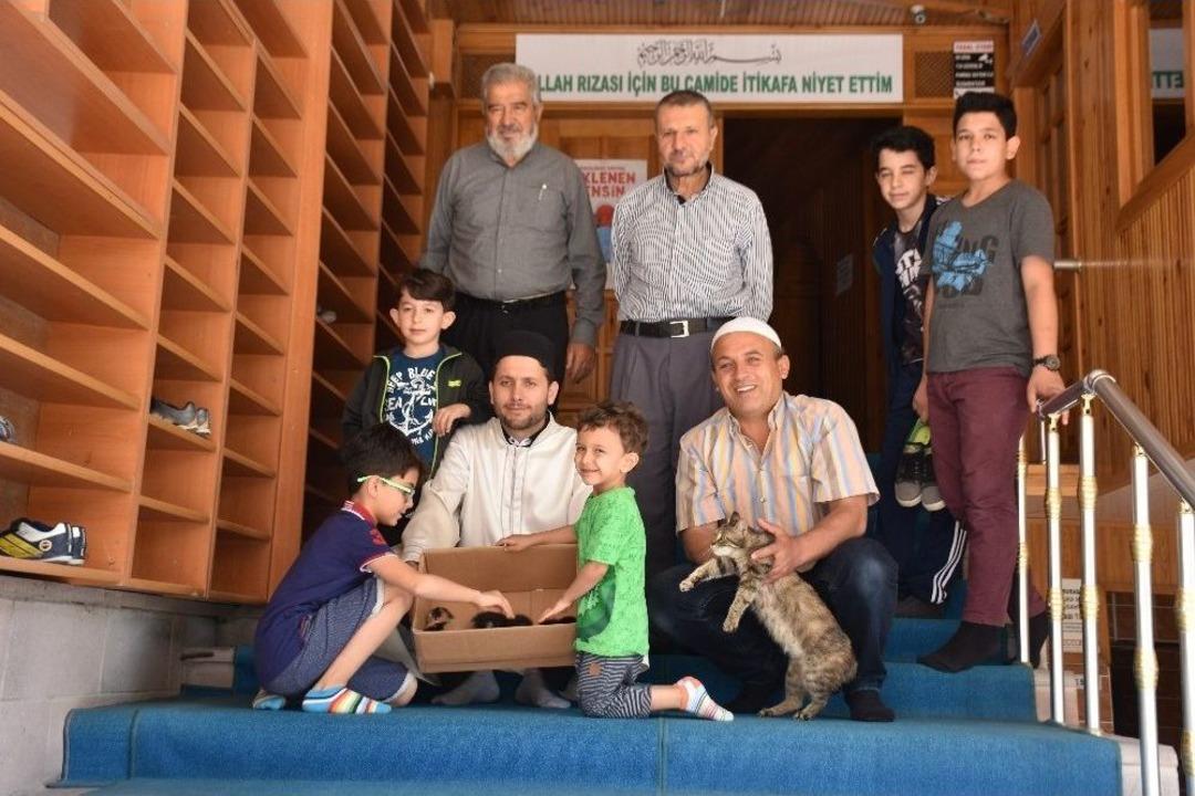 Camide Yavrulayan Kediye Cemaat Sahip &Ccedil;ıktı