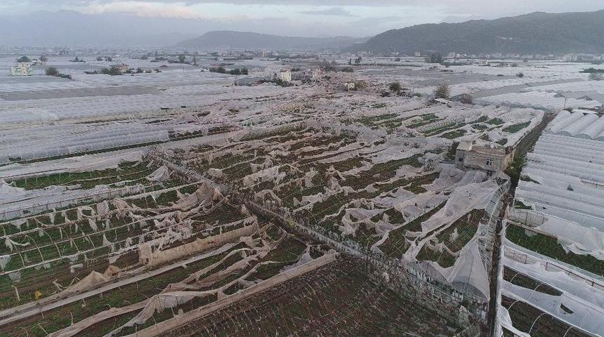 Tarsim 2017 Yılında &Uuml;reticilere 850 Milyon Tl &Ouml;dedi