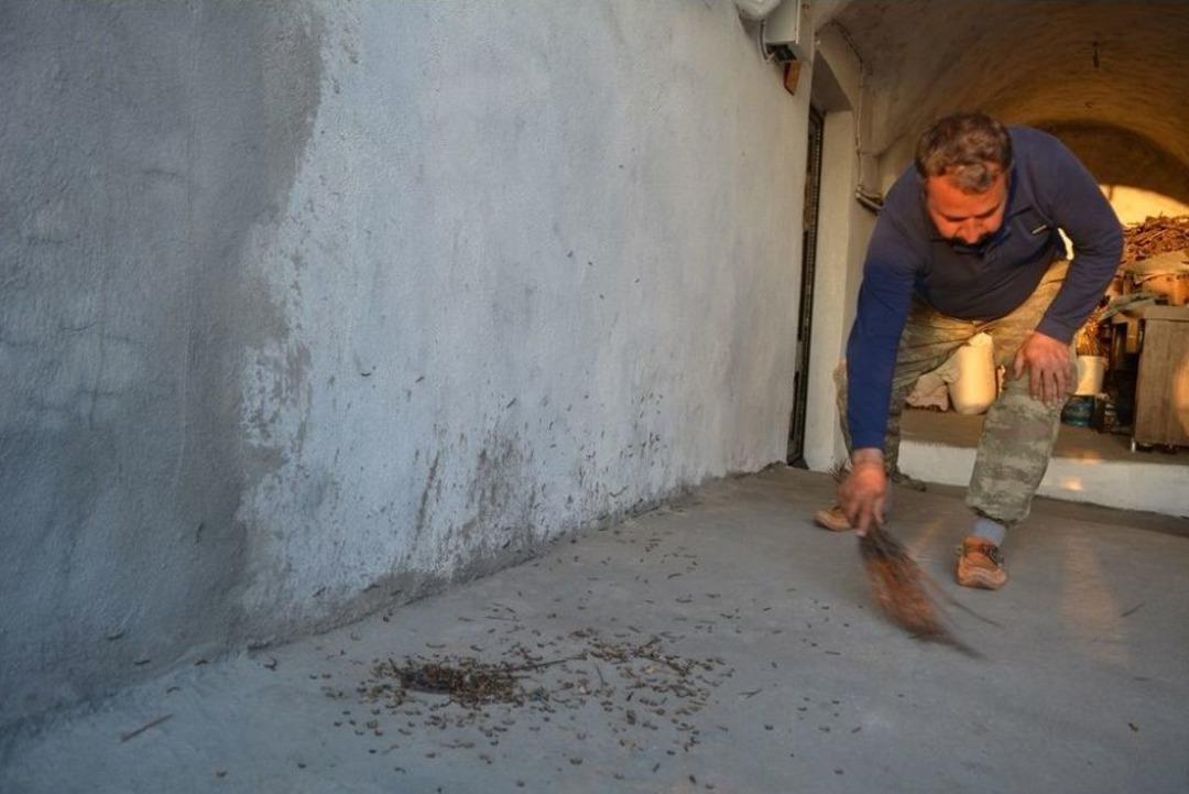 Kırkayakların İstilasına Uğrayan K&ouml;y&uuml;n &Ccedil;ilesi Bitmiyor