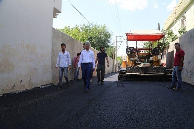 Cizre’de Asfaltlama Çalışmaları Devam Ediyor