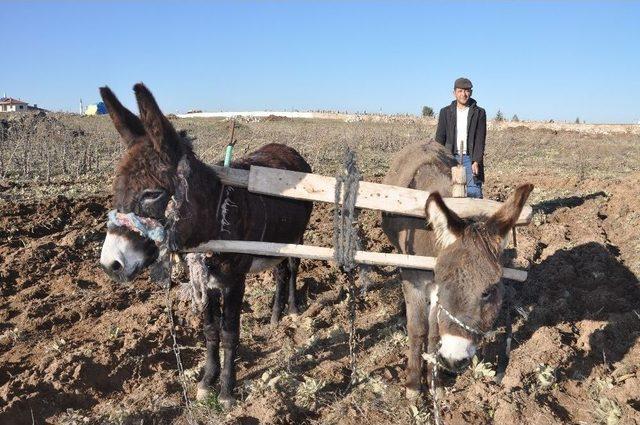 (özel Haber) Köylülerden Yakıt Zamlarına Kısa Filmli Tepki