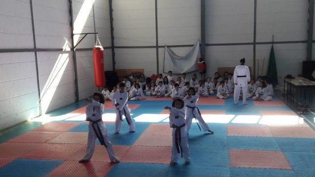 Çaycumalı Taekwondocular Kuşak Atladı