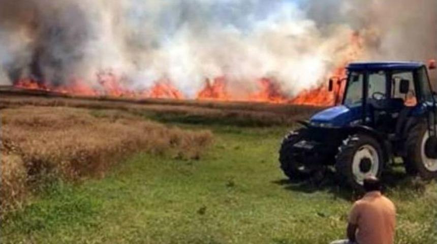 Kızıltepe&rsquo;de 160 D&ouml;n&uuml;m Arazi K&uuml;l Oldu