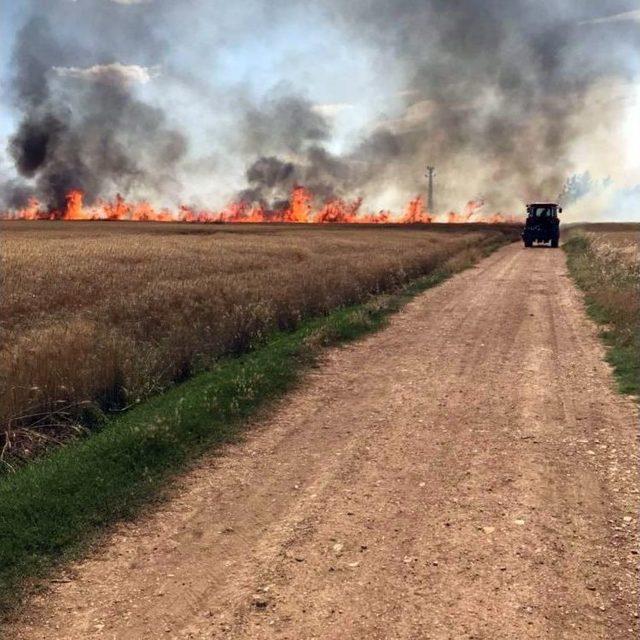 Kızıltepe’de 160 Dönüm Arazi Kül Oldu