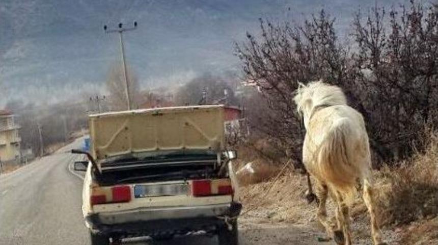 &rsquo;vicdansız&rsquo; Yolculuk