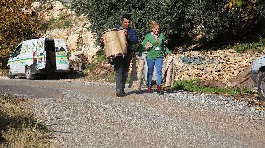 Erdemli&rsquo;de "limon &Ccedil;i&ccedil;eği Projesi" Vatandaşların Sorunlarını &Ccedil;&ouml;z&uuml;yor