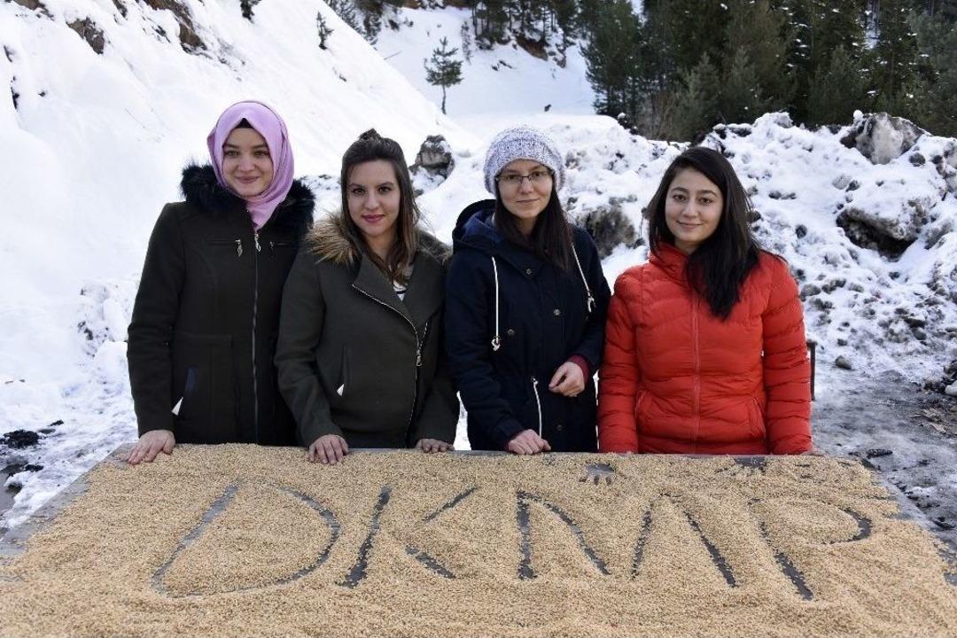 G&uuml;m&uuml;şhane&rsquo;de Yoğun Kış Şartlarında Yaban Hayatı Unutulmuyor
