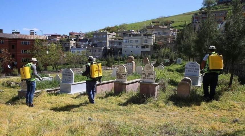 Siirt&rsquo;te Yeşil Alanlarda İla&ccedil;lama &Ccedil;alışması Başlatıldı