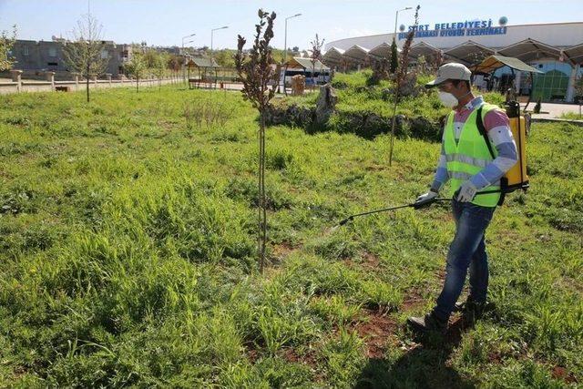 Siirt’te Yeşil Alanlarda İlaçlama Çalışması Başlatıldı