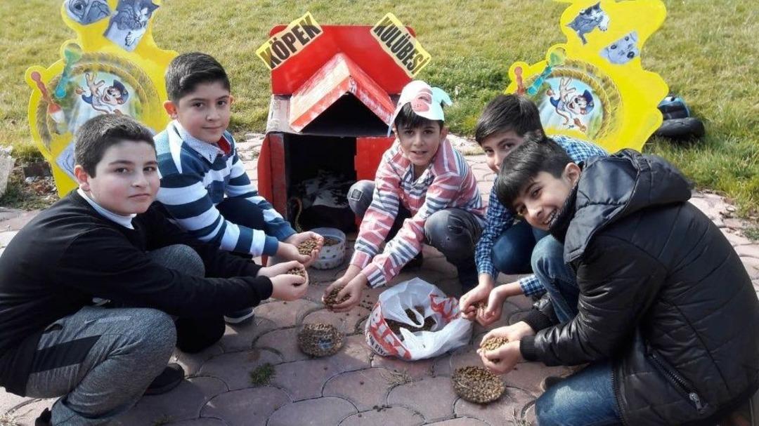 Altındağlı &Ccedil;ocuklar Sokak Hayvanlarına Sahip &Ccedil;ıktı