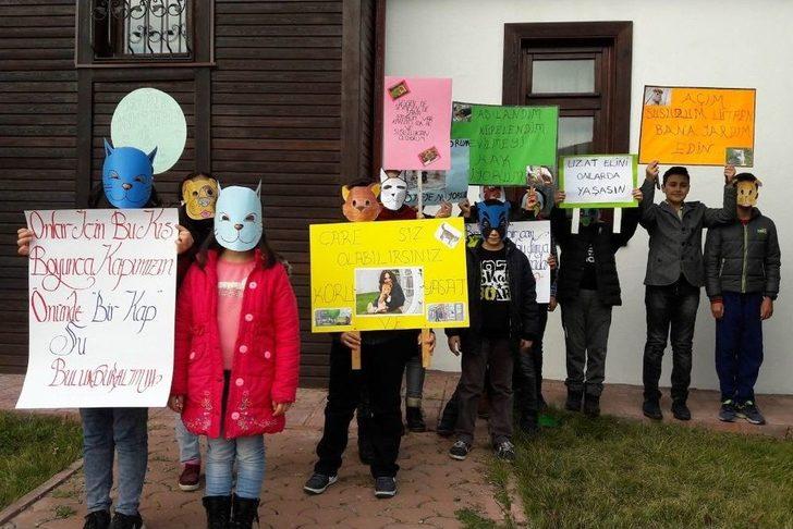 Altındağlı Çocuklar Sokak Hayvanlarına Sahip Çıktı G4