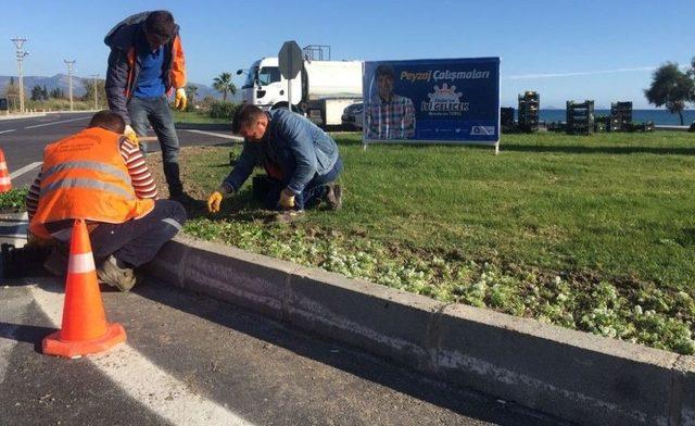 Büyükşehir, Finike’de Hizmetlerine Devam Ediyor