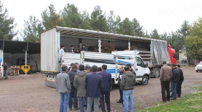 Kulp’ta 2 Bin 575 Adet Ceviz Fidanı Dağıtıldı