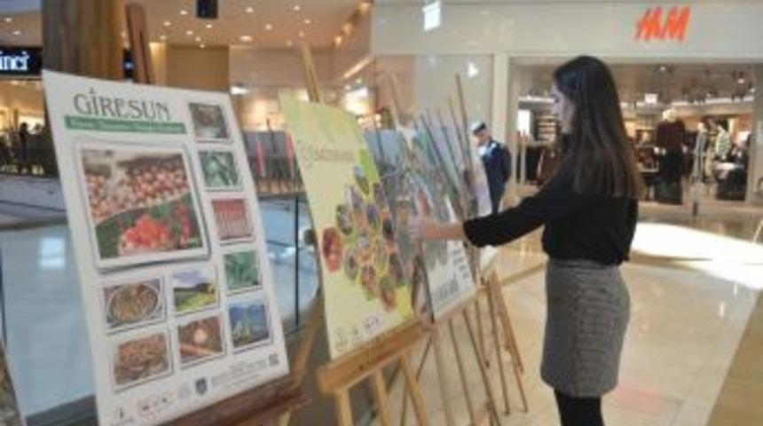 81 İlin Kültürel Zenginliği Kahramanmaraş’ta Sergilendi