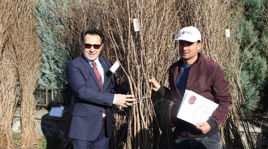 Makedonya&rsquo;ya Meyveciliğin Geliştirilmesinde Destek