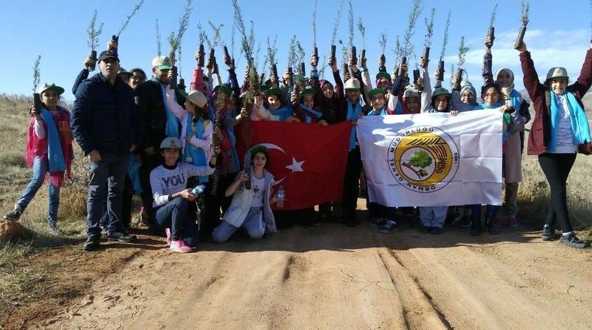 &Ouml;ğrenciler Fidanları Toprakla Buluşturdu