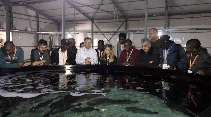 Botsvanalı Ve Gambiyalı Uzmanlara Balık&ccedil;ılık Eğitimi